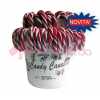 CANDY CANE BIANCO/ROSSO 28GR.